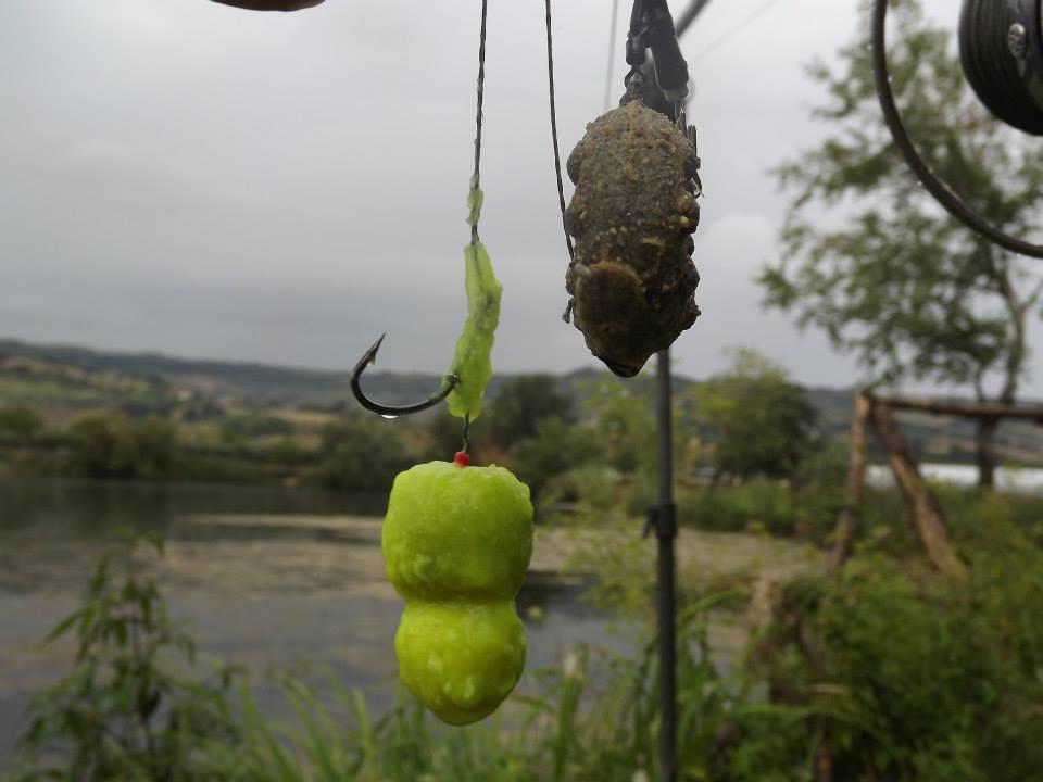 o gramada ... - fb1.jpg